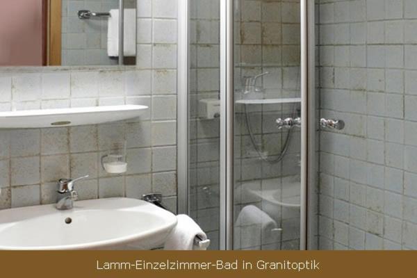 Koupelna v ubytování Hotel Lamm