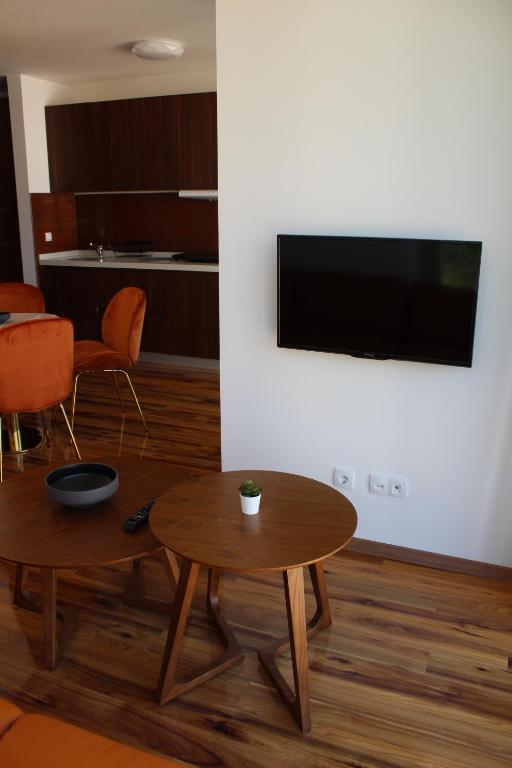 TV i/ili zabavni centar u objektu Gonik Apartmani