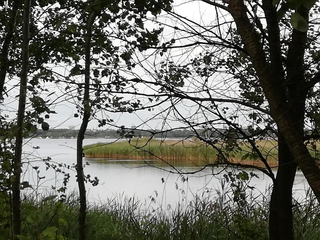 Příroda nedaleko kempu
