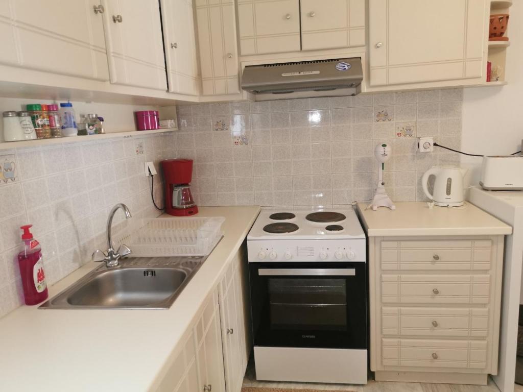 A kitchen or kitchenette at Leonidio Apartment Maria