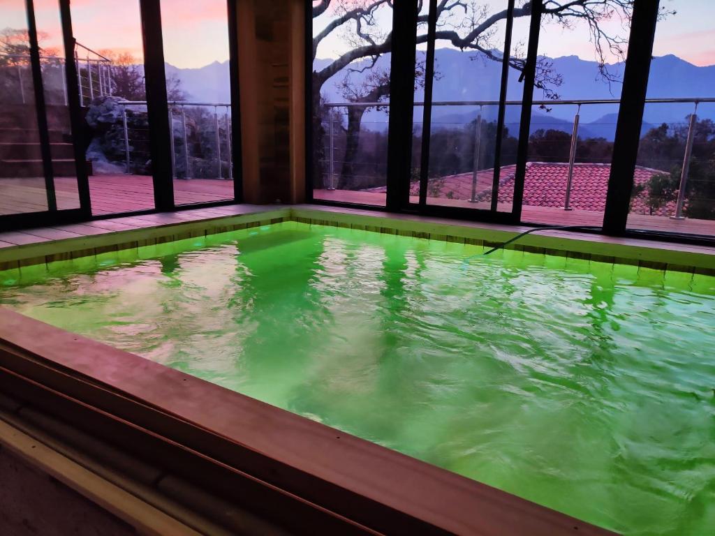 a pool with green water in a room with windows at A Camerina in Sotta