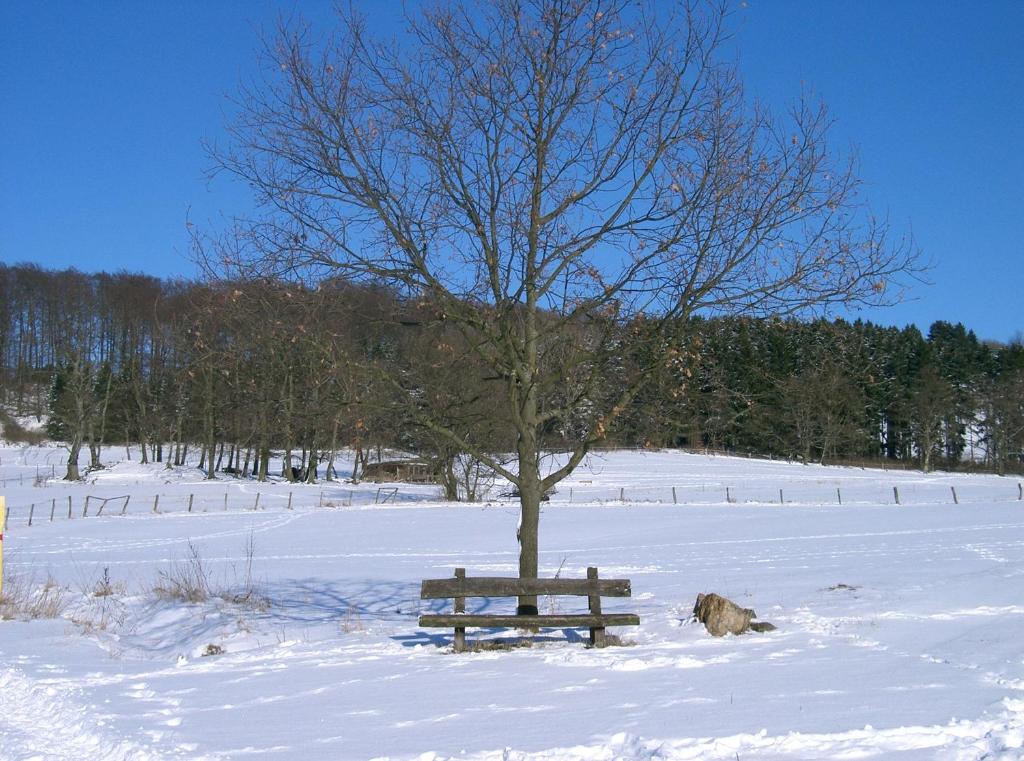 Gallery image of Fritz&#39;es Goldener Stern in Schauenburg