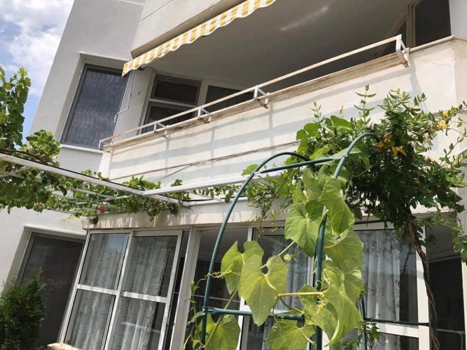 una casa con una planta delante de ella en Апартамент Вангелов en Nesebar