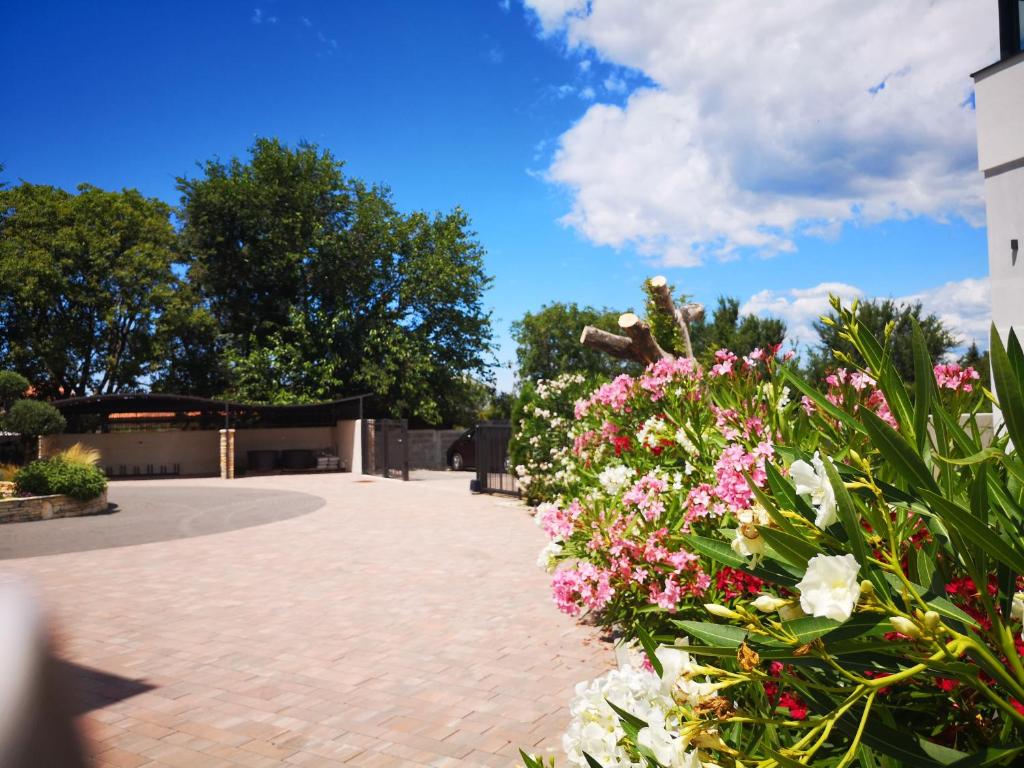 Vonkajšia záhrada v ubytovaní Villa Anja 1st floor