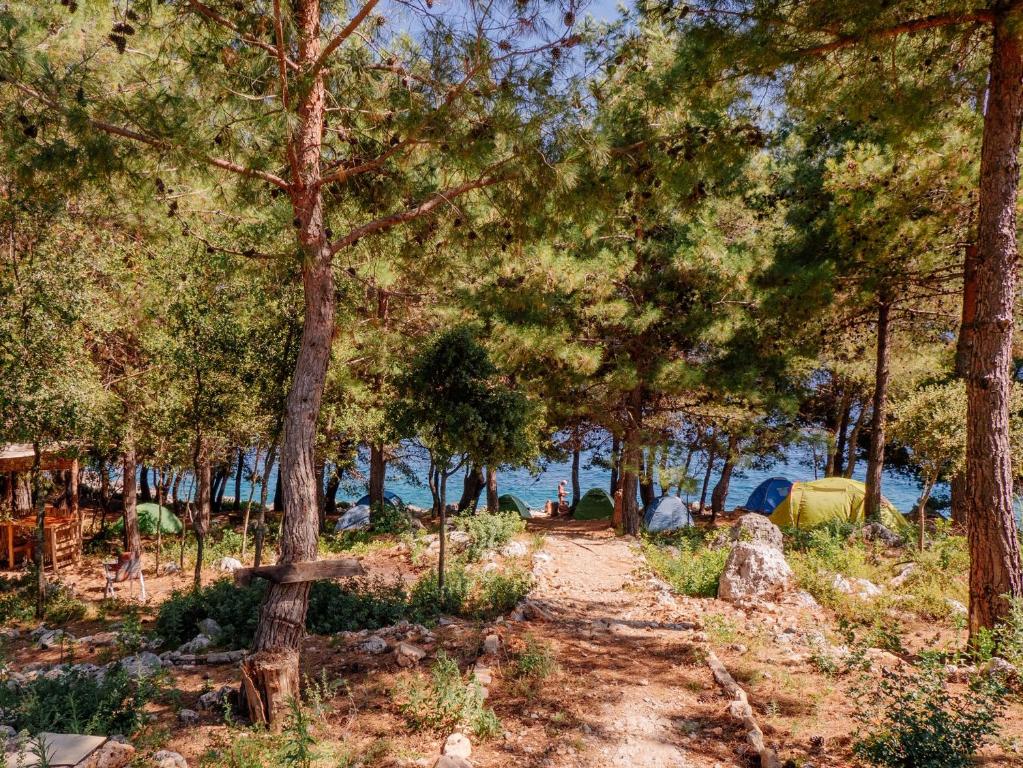THE SEA CAVE CAMPING - Image 8