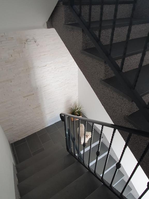 an overhead view of a staircase with a potted plant at Apartments Borghetto in Vinkuran