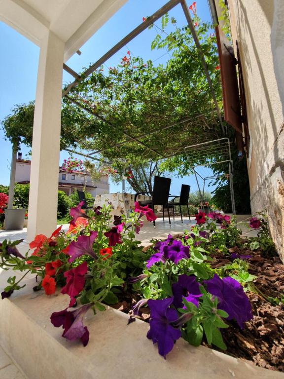 a bunch of flowers in a flower bed on a patio at Apartments Borghetto in Vinkuran