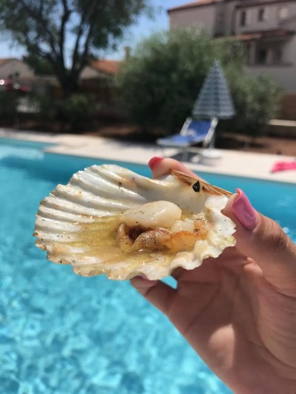 a person holding a shell with food on it at Apartments Borghetto in Vinkuran
