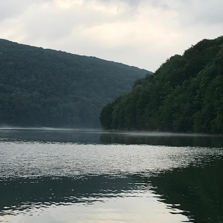 Príroda v okolí chaty v prírode