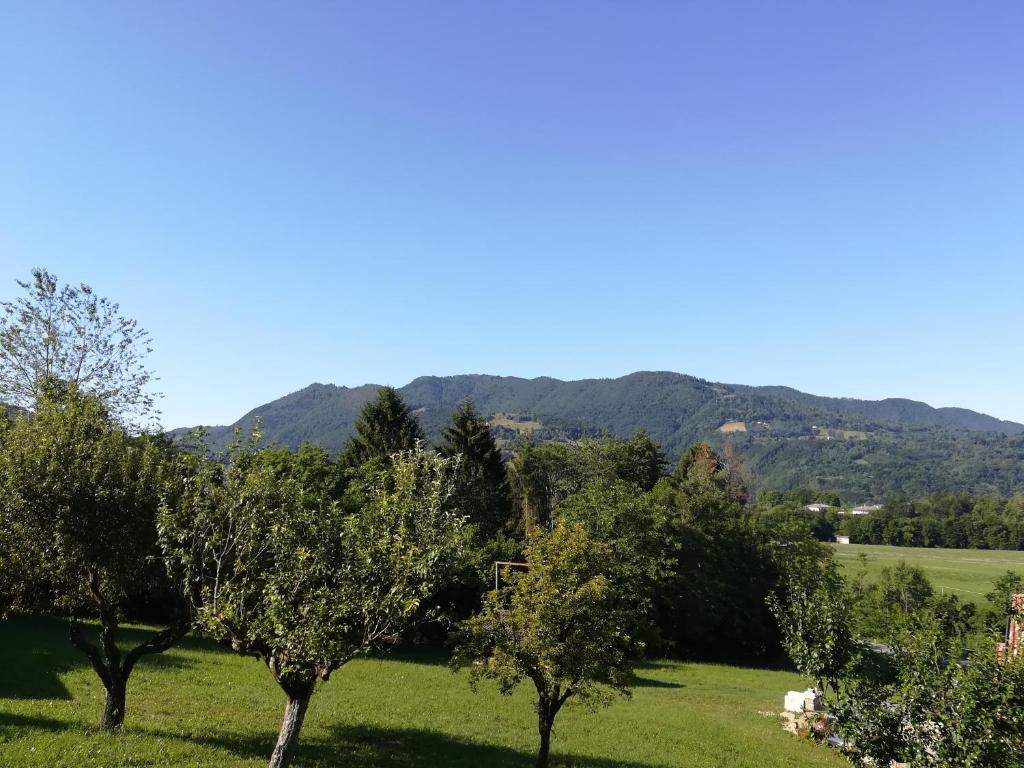 Príroda v okolí apartmánu