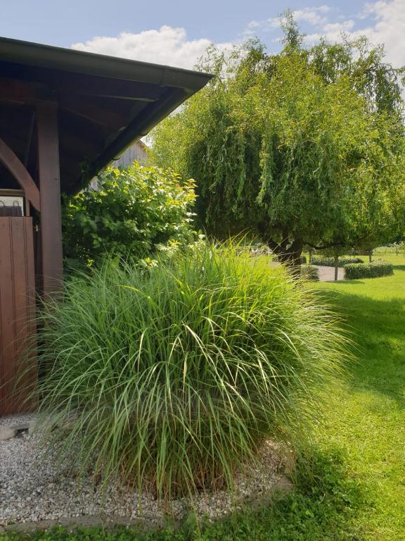 Zahrada ubytování Landhaus List