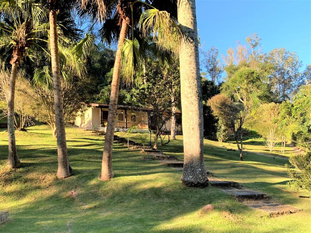  Vila Vitória Araras