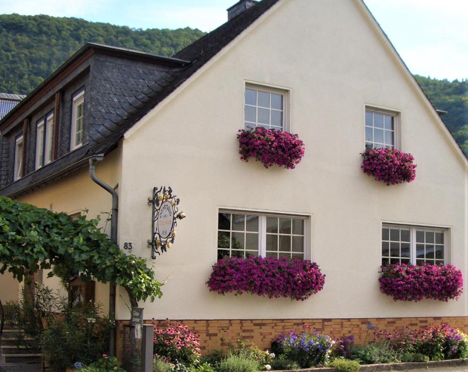 uma casa branca com flores roxas nas janelas em Gästehaus Weberskirch em Ernst