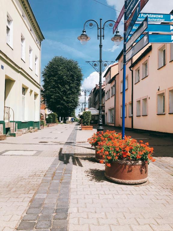 Okolica w pobliżu tego apartamentu