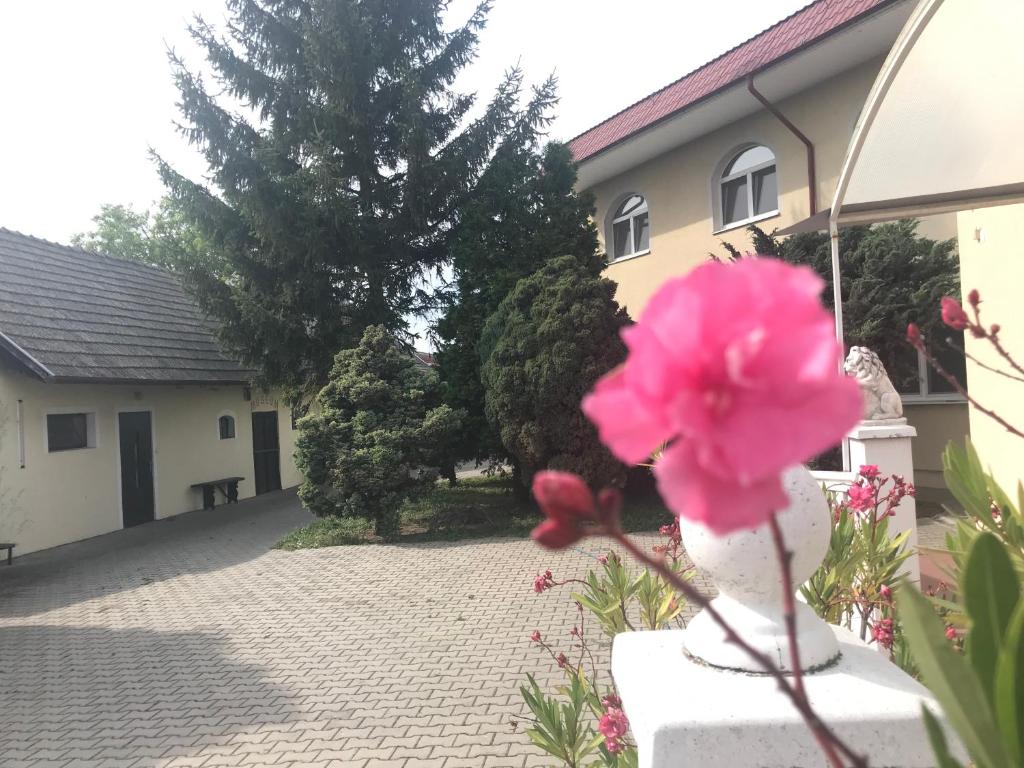 a pink flower in a vase next to a house at PENSION EUROP** in Diakovce