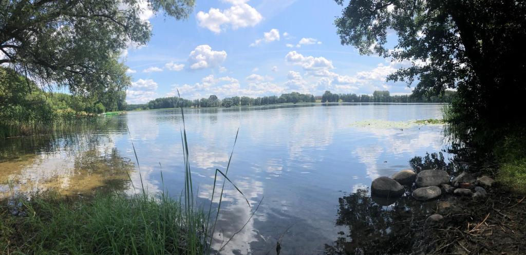 Przyroda w pobliżu tego apartamentu