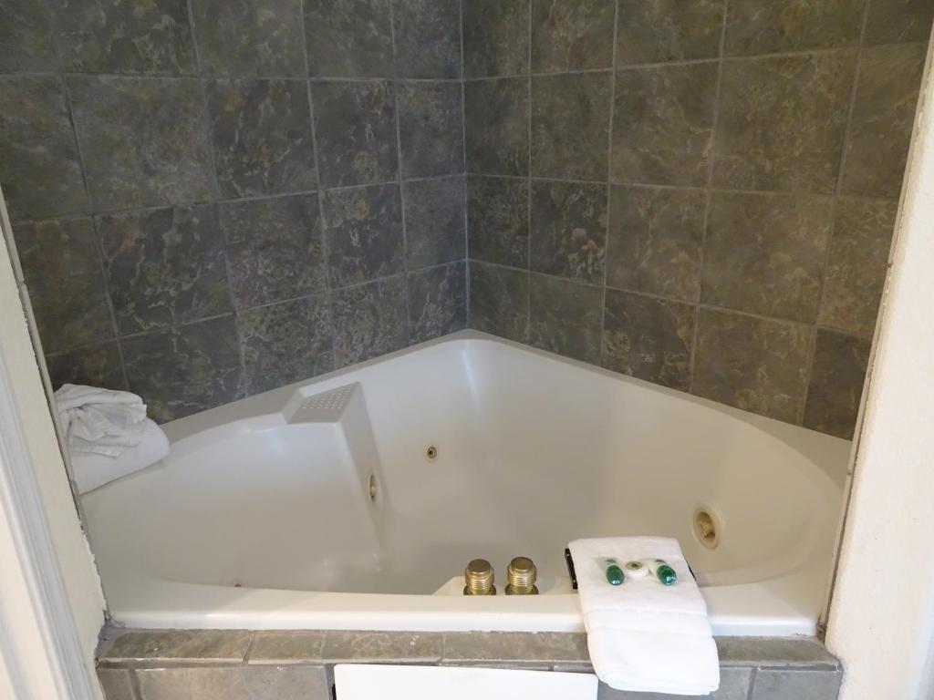 Hotel Aspen Flagstaff/ Grand Canyon InnSuites photo