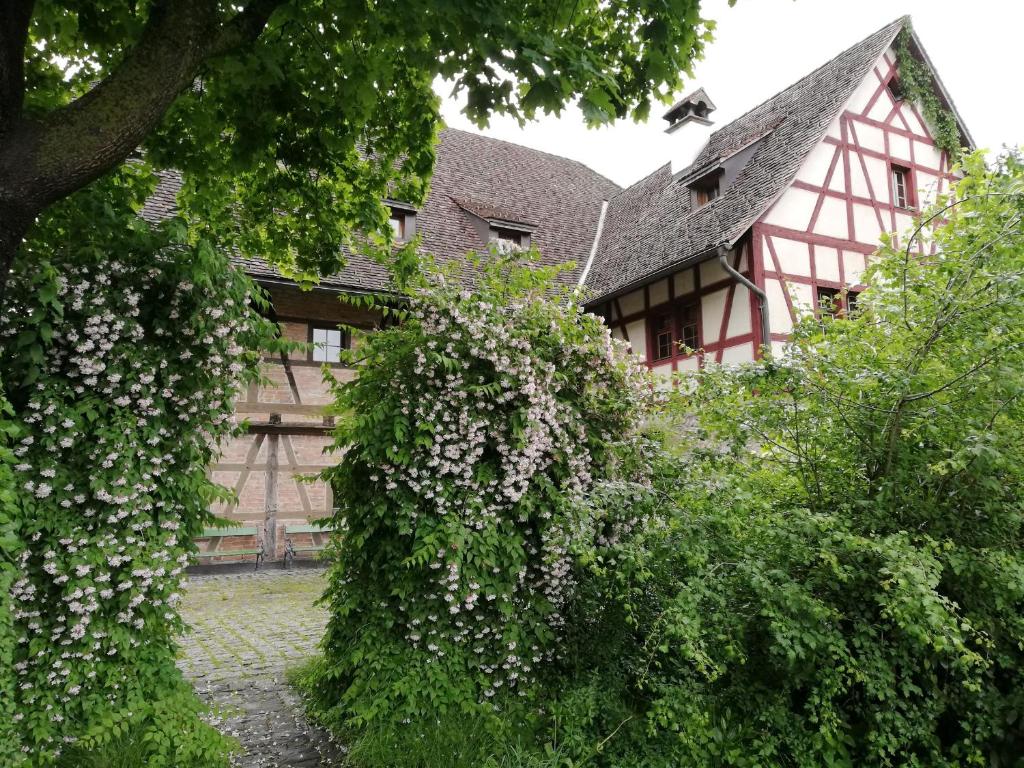 a house with a hedge of flowers in front of it at Jugendherberge Feldkirch in Feldkirch