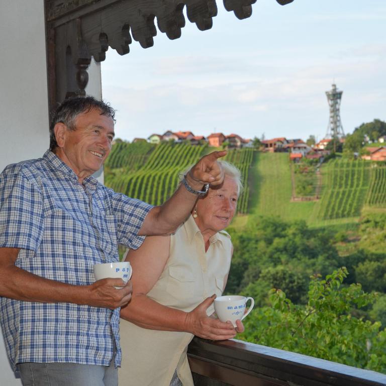 Hosté ubytování Vinum Vidae