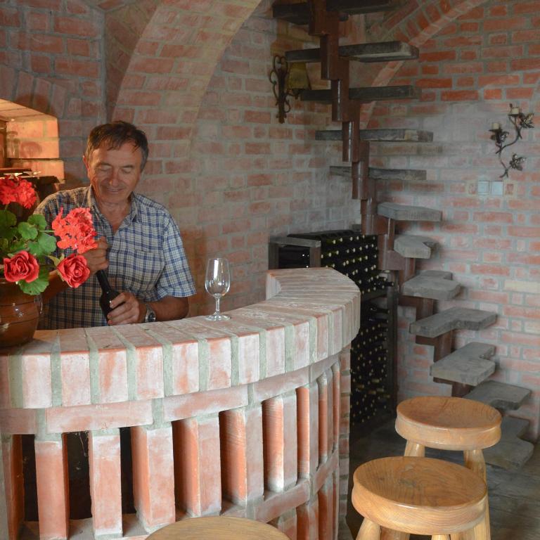 Hosté ubytování Vinum Vidae