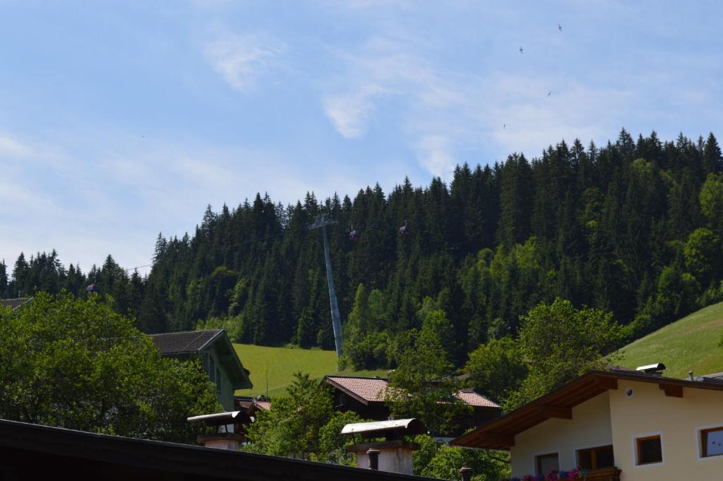 Příroda nedaleko apartmánu