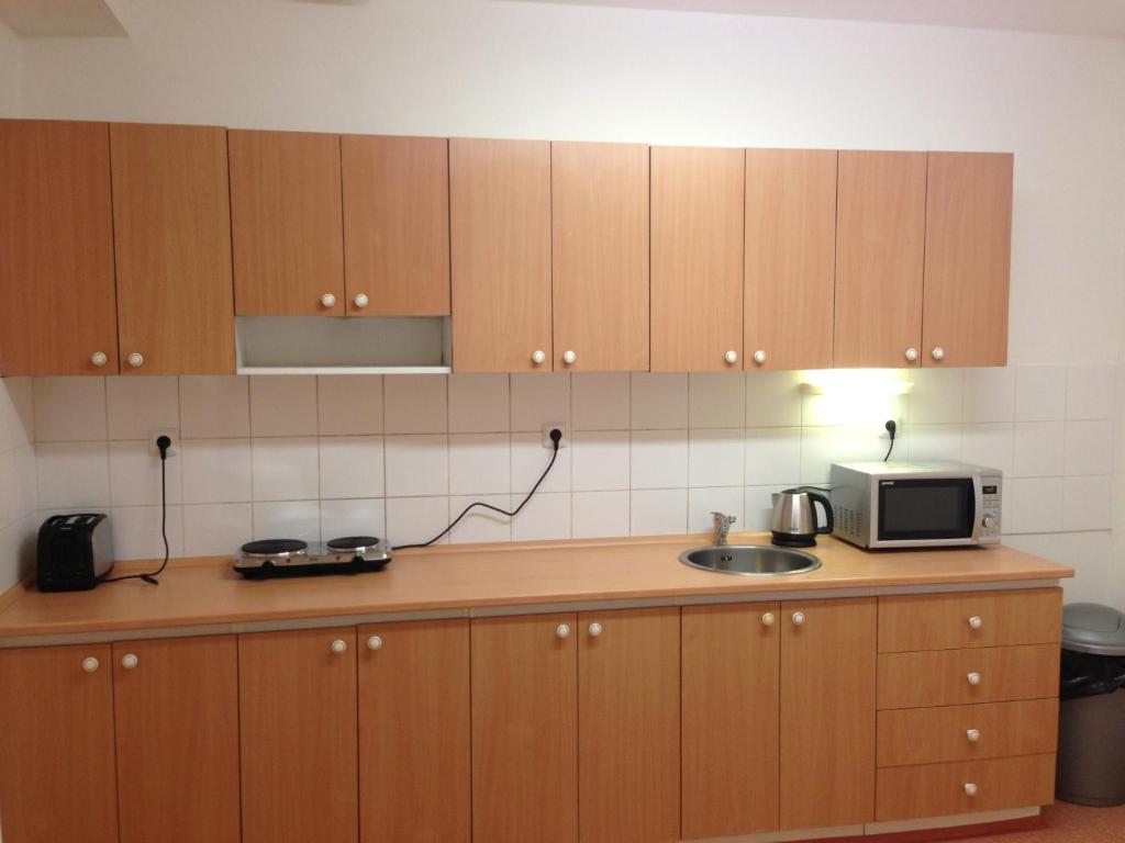 Kuchyň nebo kuchyňský kout v ubytování Hostel BOHEMIA