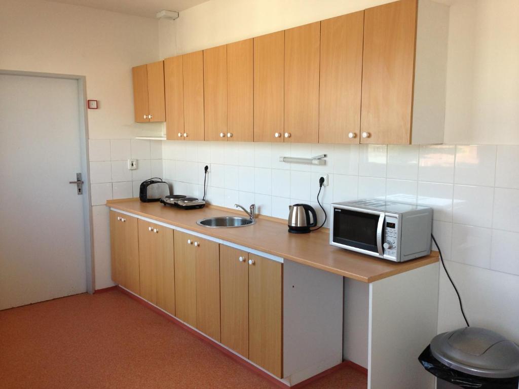 Kuchyň nebo kuchyňský kout v ubytování Hostel BOHEMIA