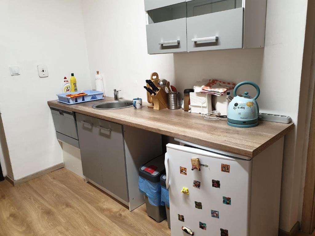 Kuchyň nebo kuchyňský kout v ubytování Apartmán 33