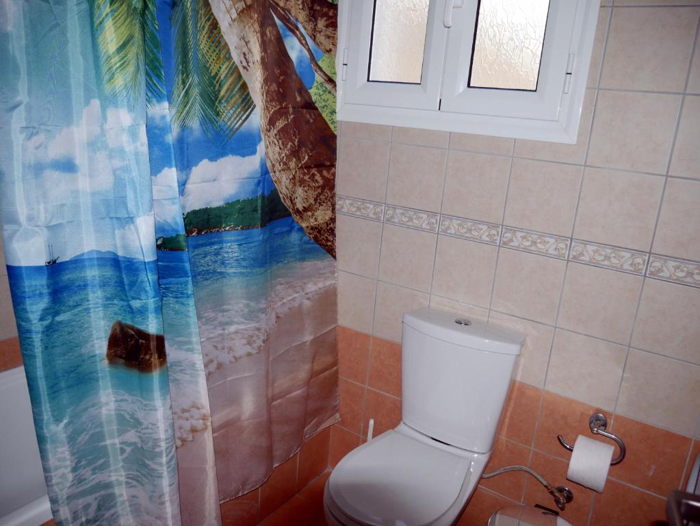 a bathroom with a toilet and a shower curtain at Moraitika Old Village Apartments in Moraitika