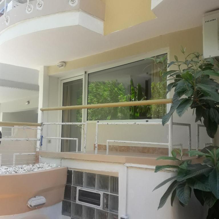 salon z oknem i rośliną w obiekcie Ground Floor Studio Galini w Retimnie