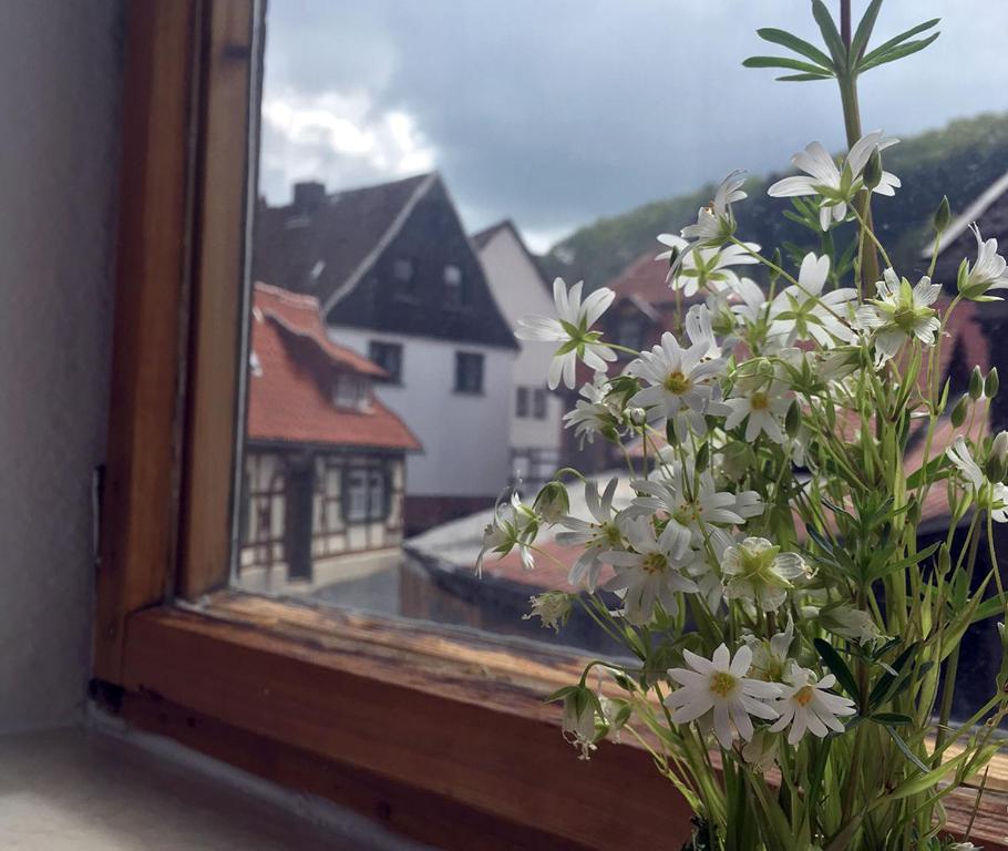 a vase with white flowers sitting in a window at Apartment am alten Markt in Stolberg