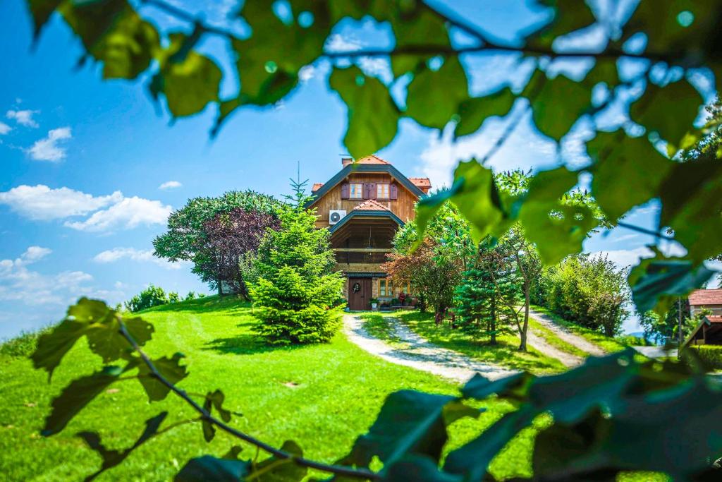 uma casa numa colina com relva verde e árvores em Villa Botanica em Mirkovec