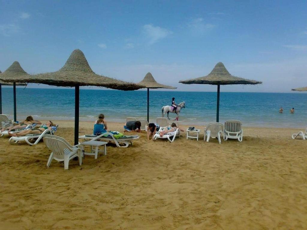 Gallery image of Royal Beach Resort in Ras Sedr
