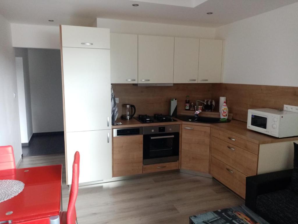 Kuchyň nebo kuchyňský kout v ubytování apartmán Aneta