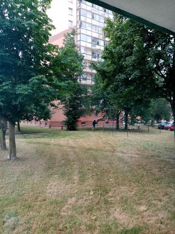 Zahrada ubytování apartmán Aneta