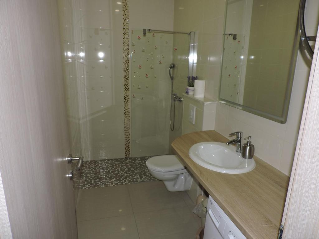 Koupelna v ubytování Apartments Lidus