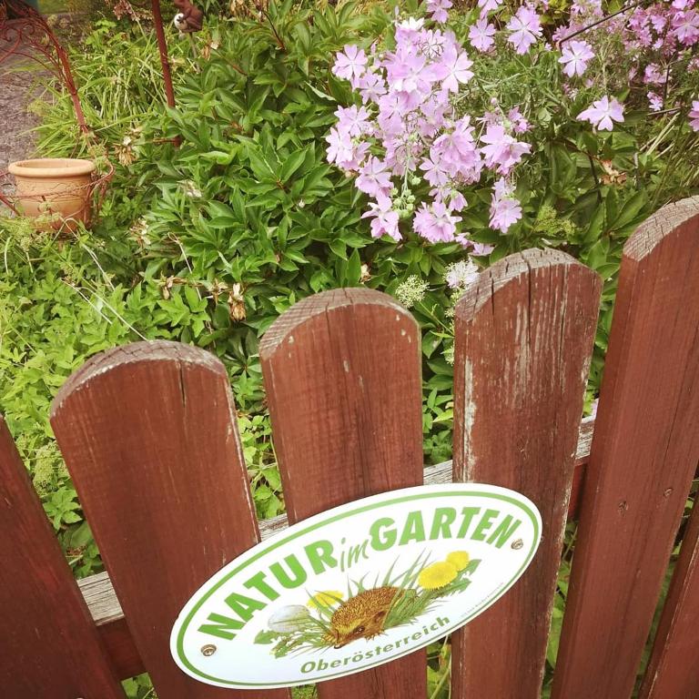 Zahrada ubytování Ferienhaus in der Schlipfing mit Garten