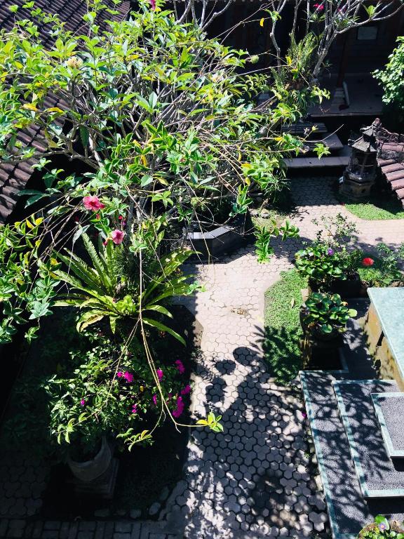 Wina Ubud B&B - 7