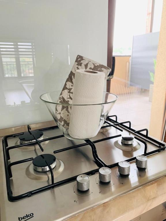 Kuchyň nebo kuchyňský kout v ubytování Brickyard Apartments Cluj