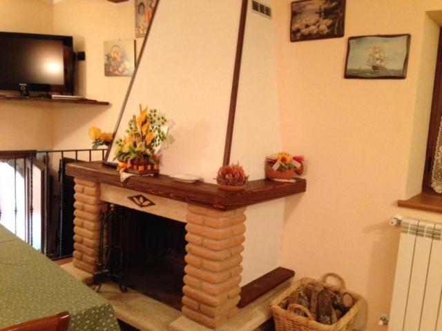uma sala de estar com lareira de tijolos com flores em Il Borgo 30 em Scapoli
