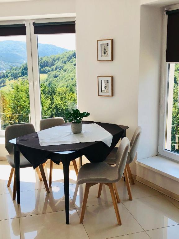 Mountain and Lake Views beautiful Miedzybrodzie - Appartement Met één Slaapkamer