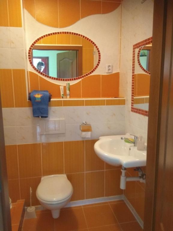 un bagno con lavandino, water e specchio di Guest House SAMSON a Vahaneč