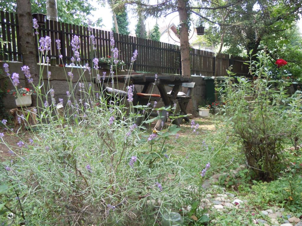 un jardín con flores púrpuras y un banco de madera en Apartmani Sobe BILJANA, en Arandjelovac