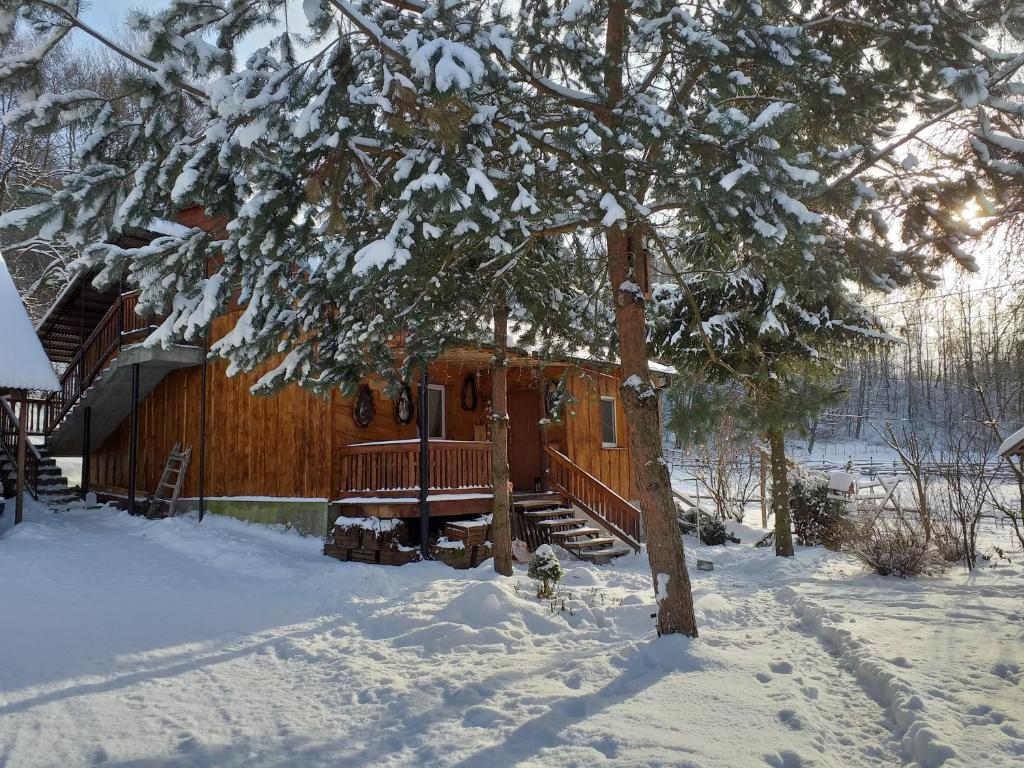 una cabaña de madera en la nieve con un árbol en Świerkowe Rancho, en Brzostek
