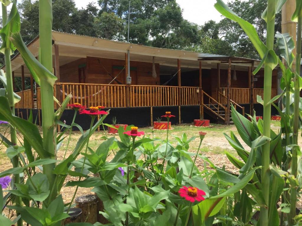 Hostal Caño Nevera في La Macarena: منزل خشبي أمامه زهور حمراء