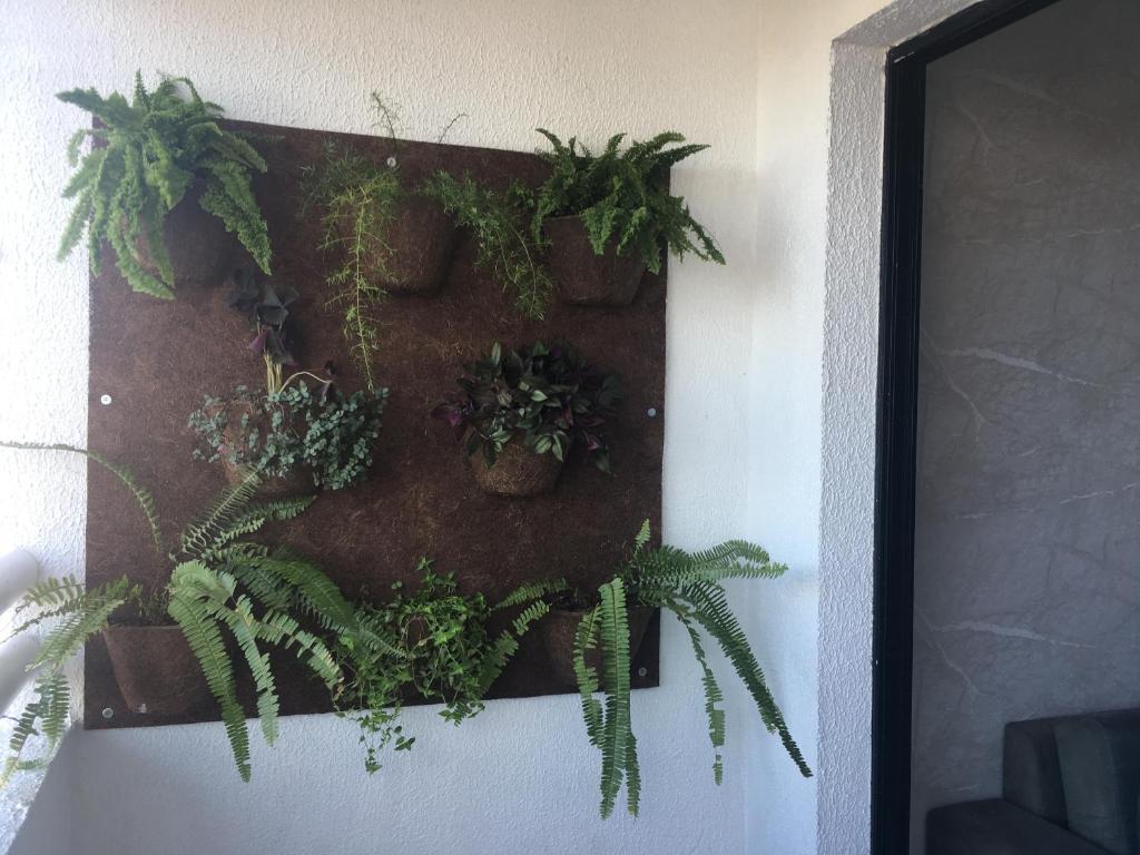  Apartamento Família - Ponta Negra