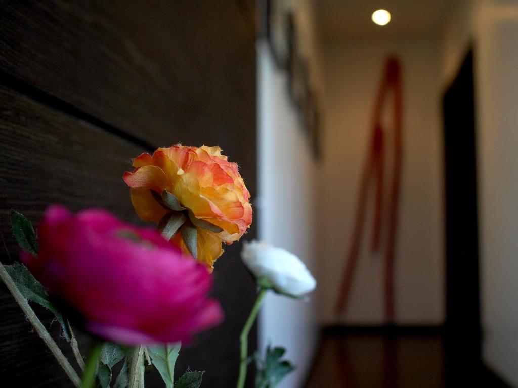  Chic Hotel Boutique