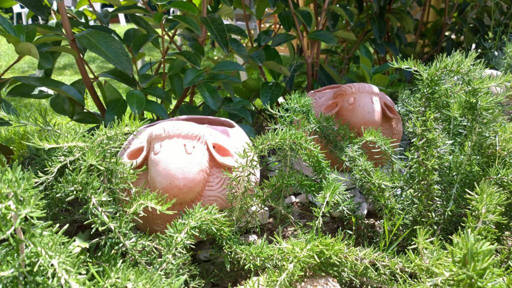 two pink statues sitting in some green plants at Le Pecore di Terracotta in Pesaro