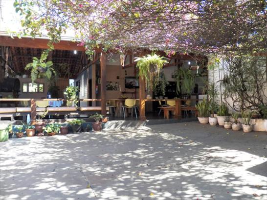 un patio con un montón de plantas, mesas y sillas en Hotel Donna Linda, en Londrina