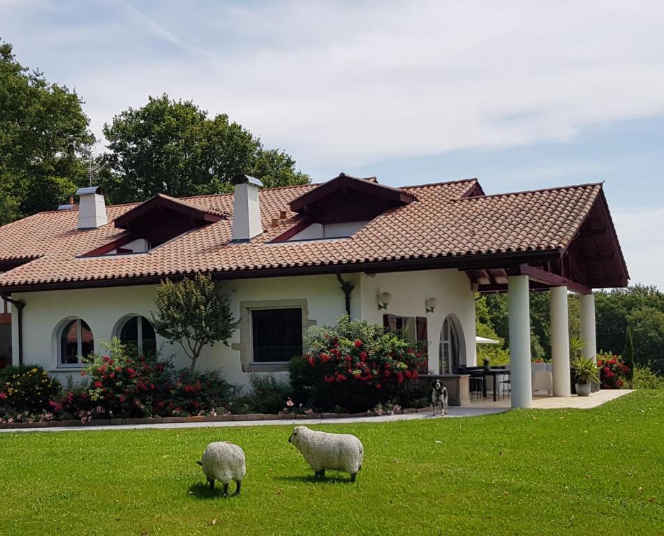 two sheep standing in the grass in front of a house at Maison d hotes Lapitxuri in Arcangues